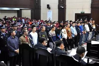 全国最大网络贩卖野生动物案在徐宣判!