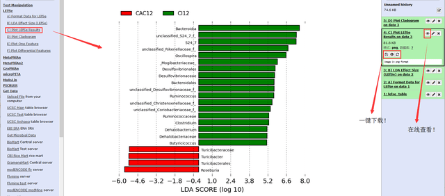 【干货】微生物高分文章必备分析LEfSe