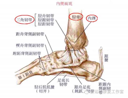 《人类群星闪耀时》精选句集