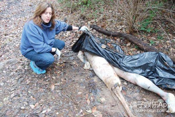 当然这尸体可不是专门丢在这里吓人的,而是专门用来供科学家们研究的