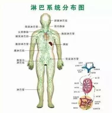 人体三处淋巴决定生死!在家就能学的这套按摩方法,可救命!