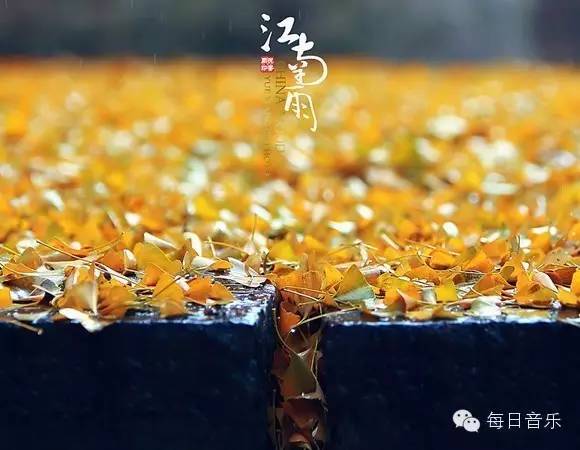 落雨听禅曲谱_落雨听禅的唯美图片