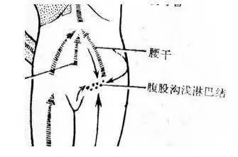 淋巴疏通什么原理_腋下淋巴疏通刮痧图解