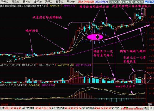 三大必涨形态之一老鸭头