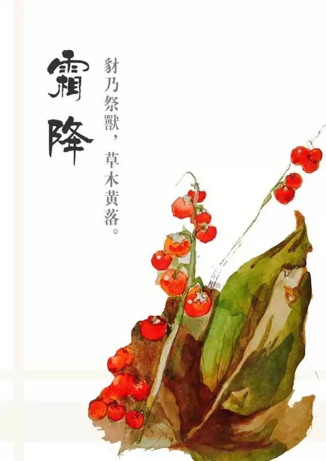 二十四节气 | 霜降前后始降霜