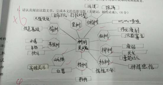 微课堂 | 孩子不会找中心思想,思维导图的方法你学了吗?