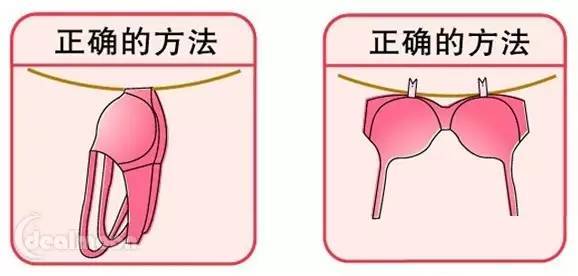 内衣发霉是什么原因_米发霉是什么样子图片(3)