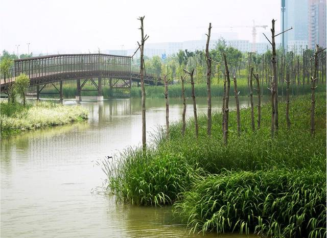 宁波生态走廊,浑然天成的设计,城市活体过滤器