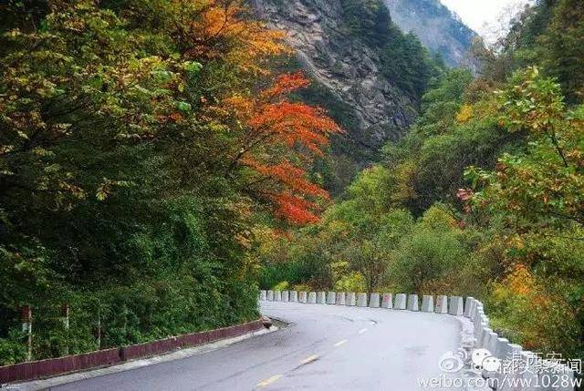210国道陕西段五彩斑斓层林尽染 欣赏大自然美景