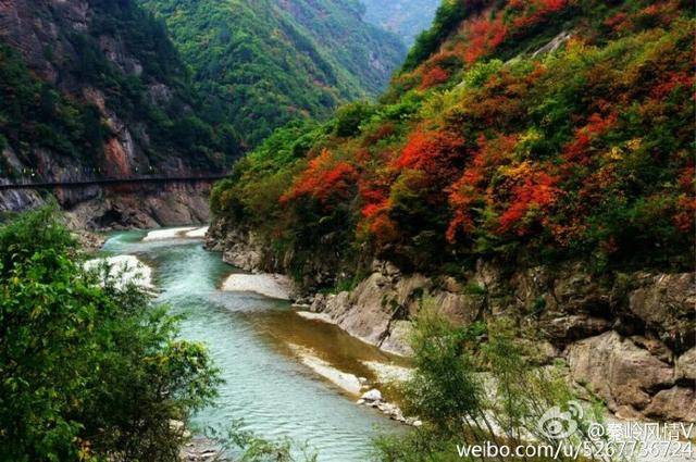 金秋时节雨纷飞 梦回凤县灵官峡