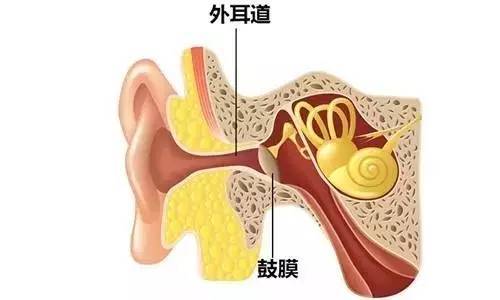 掏耳屎的快!住!手!