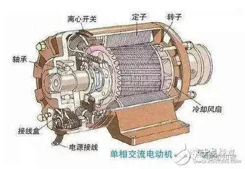 解析两种不同类型电动机如何产生动力