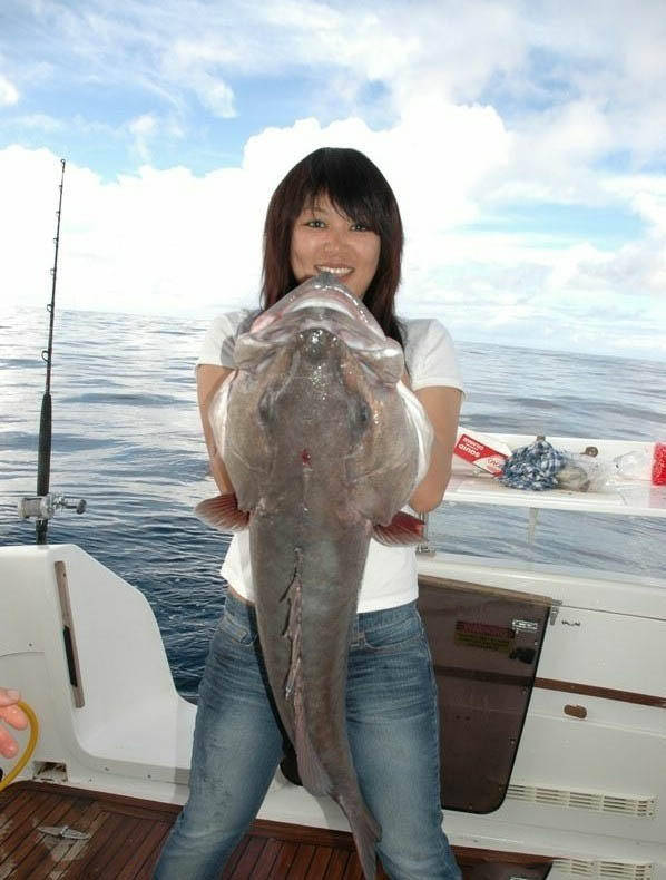 日本美女海钓,大鱼被诱惑上岸也不后悔