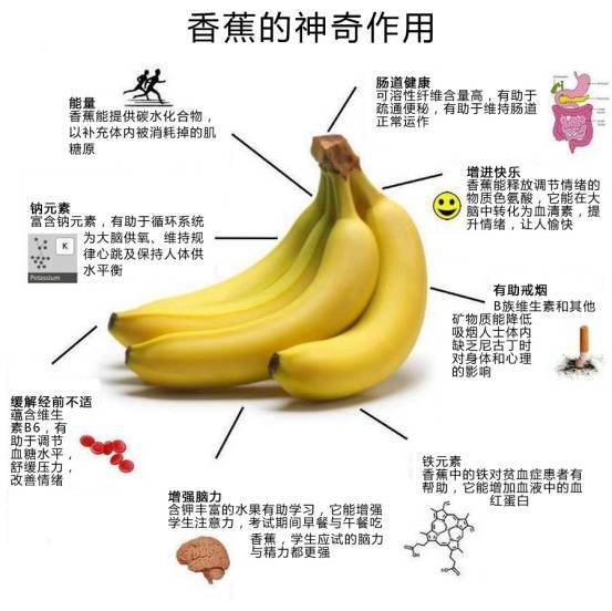 书香蕉猜一成语_一根香蕉图片