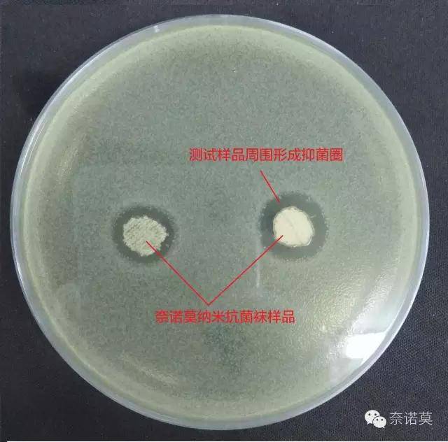 进行细菌抑菌圈检测,结果如下图: 实验奈诺莫纳米抗菌袜样品对多种不