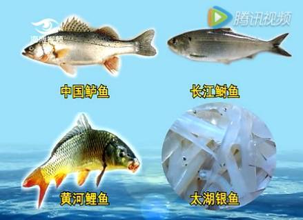 中国四大名鱼,有一条就在福建!它是