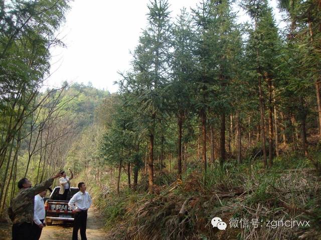 今年6月初,当地县扶贫办就大余县吉村镇沙村村50户贫困户专门召开会议