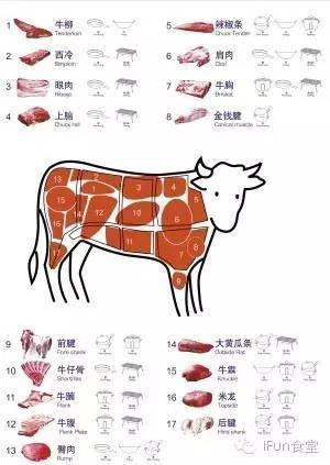 牛肉哪个部位和黑椒搭配才是最适合的呢?
