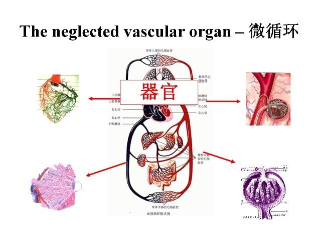 初一生物教案下载_初一生物_人教版初一生物下册教案全册下载