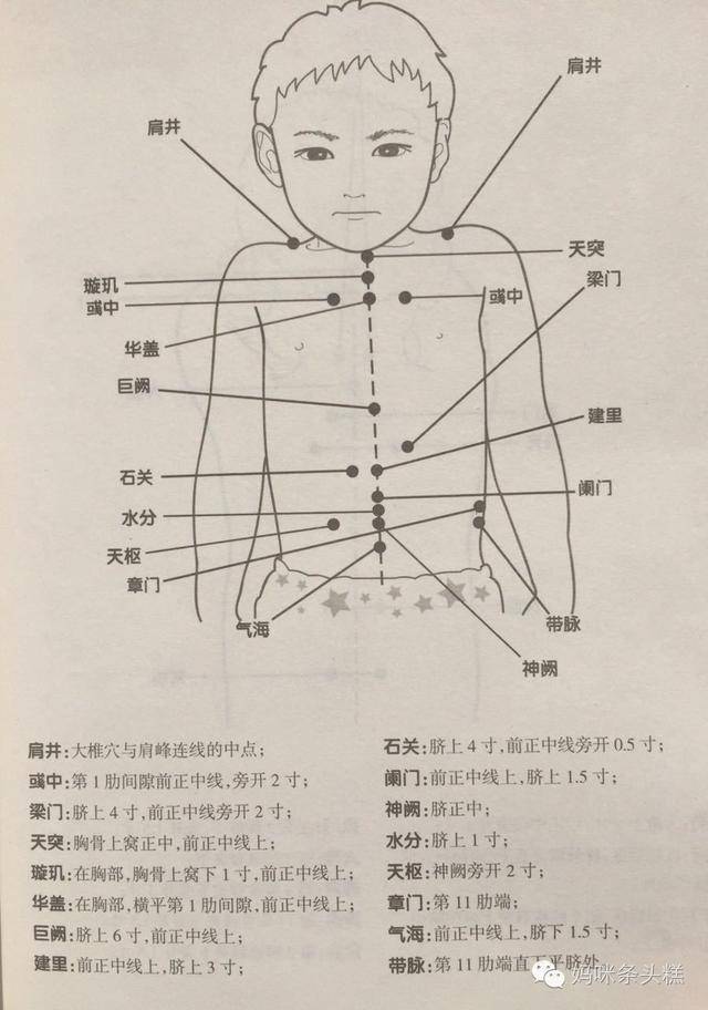 背部穴位图