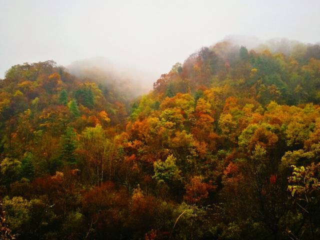 醉美凤县,最美乡村