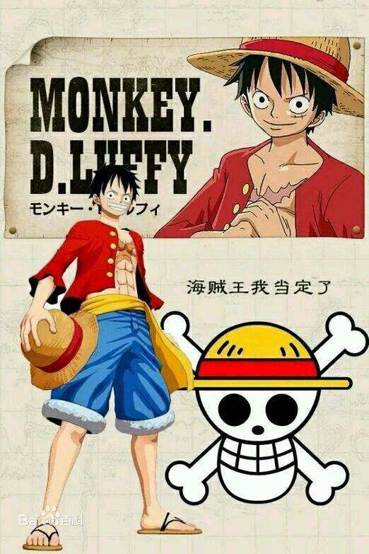 《one piece》(海贼王):来自动漫王国的传奇