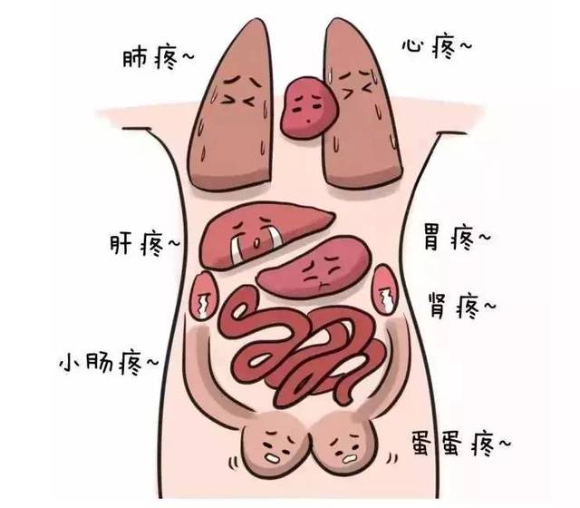 看完蛋蛋好忧伤