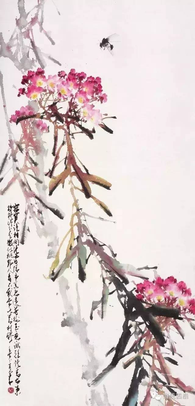 赵少昂花鸟作品欣赏