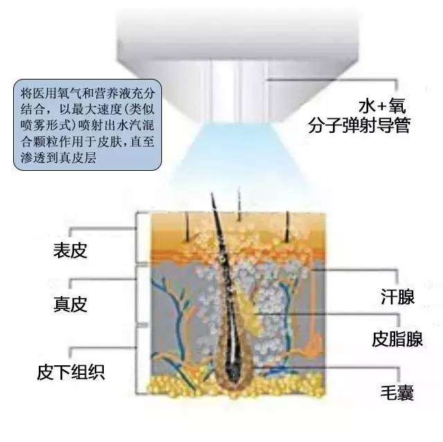 倒不完的魔法水是什么原理_不倒绒是什么面料图片(3)