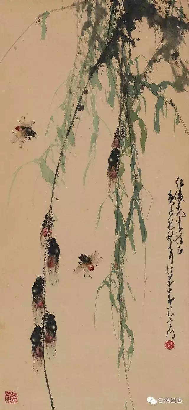 赵少昂 柳蝉图 赵少昂花鸟作品欣赏 整理编缉_《当代国画 文章来源