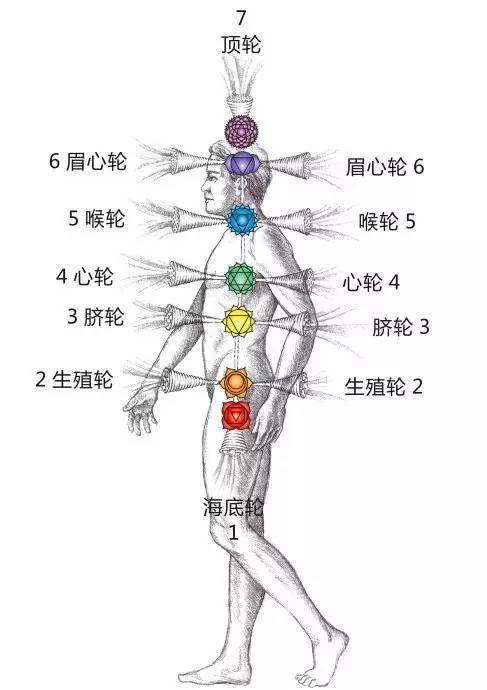 古老的瑜伽经典认为,人体有七个脉轮,是七个能量聚集点,主宰着人体不