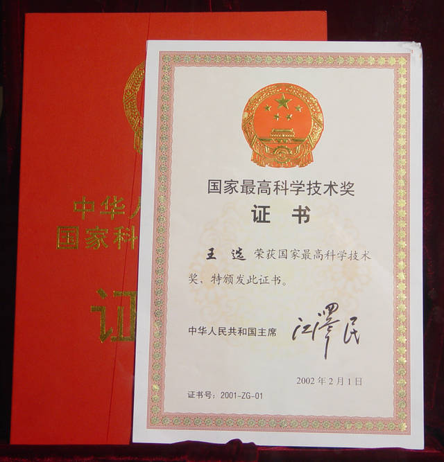 北京大学计算机系教授,1991年当选为中国科学院学部委员,1994年当选为