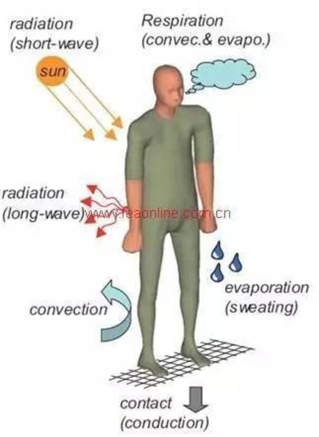 在人与环境进行热交换的过程中,环境与人体之间的热对流和热辐射是