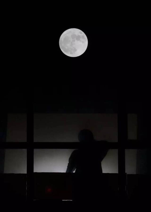 天津大学杨昉明) 每当月亮升起的时候, 总会有人站在窗边,望着窗外