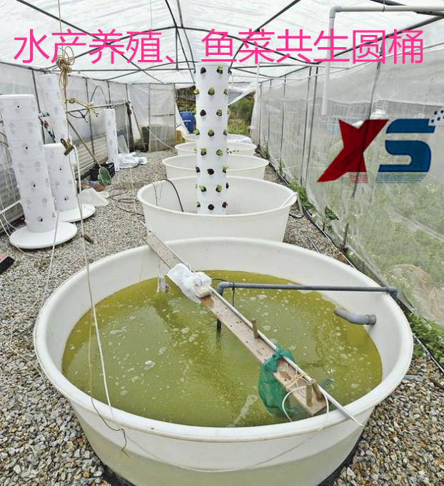 鱼菜共生塑料桶养殖桶催芽桶周转箱pe桶迅升方箱