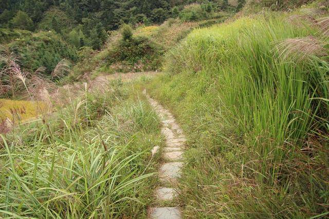 小路两边依旧是荒草丛生,红色漫天,我和红桃悠闲地走在这荒郊野岭里