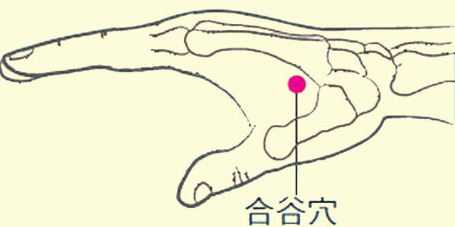 什么屈什么牙的成语_屈髋是什么动作图片(3)