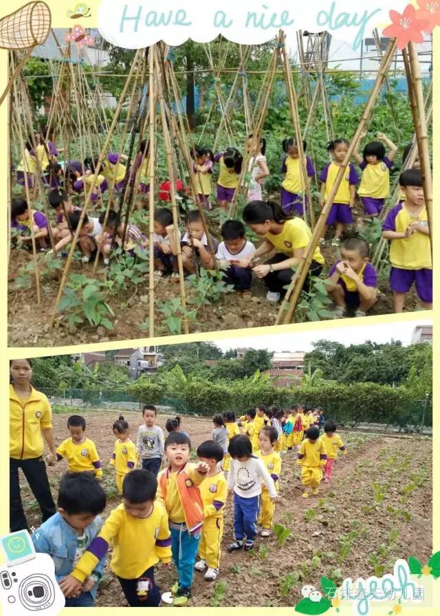 [生态教育]---春天幼儿园生态环境教育的意义!