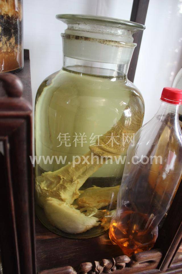 一大条犀牛鞭与整只老虎泡的酒—瞠目结舌的越南