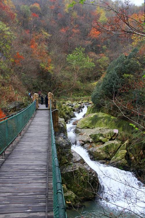 西九华山景区迎来信阳直通车游客