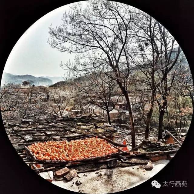 河南林州:难忘太行山石板岩小景