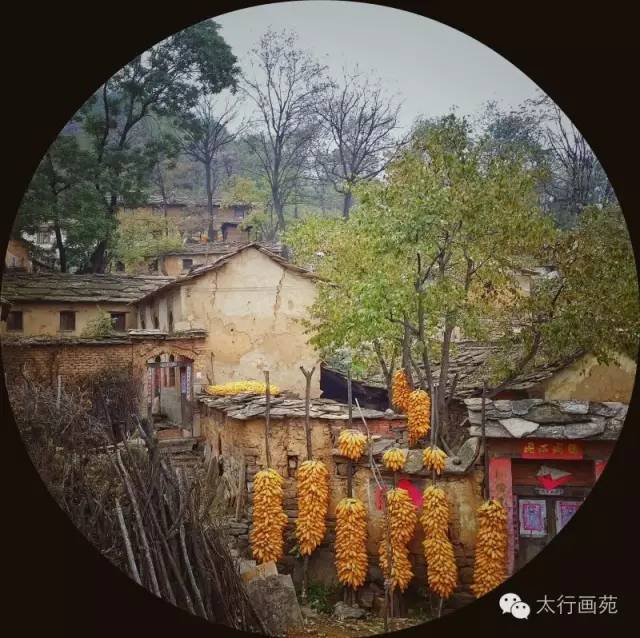 河南林州:难忘太行山石板岩小景