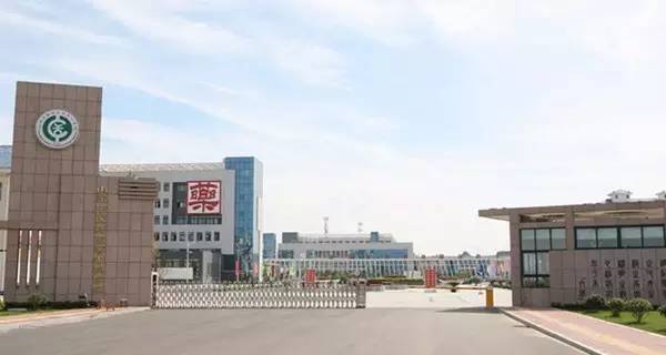 山东省单招学校