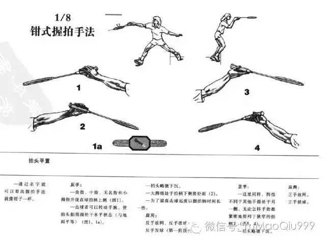 【秘籍】羽毛球怎样发力才能打出"啪啪啪"的声音?