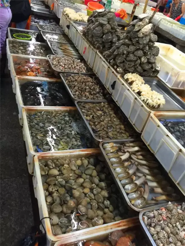 海鲜的种类很多这一排过去基本上都是贝类的,扇贝象牙蚌都有.