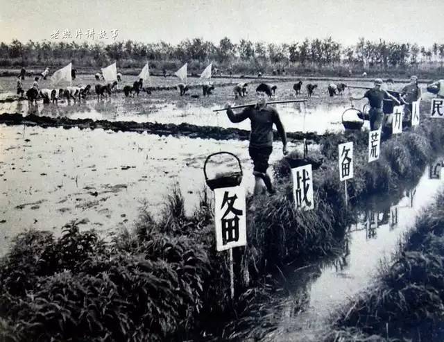 老照片回顾:当年开发北大荒的真实场景