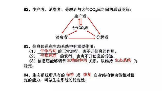 高中生物难吗