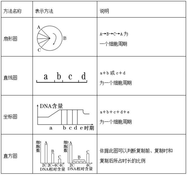 最全"细胞的生命历程"知识点归纳