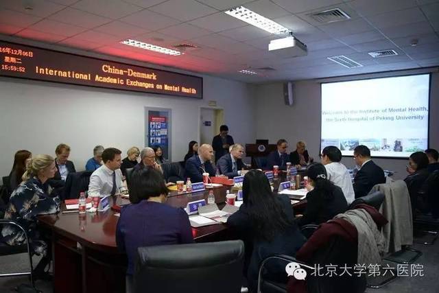 北京大学第六医院成功举办中国-丹麦国际精神