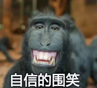 雄性猕猴会用咧嘴狂笑大法进行攻击,还会用咂嘴做鬼脸表示顺从.